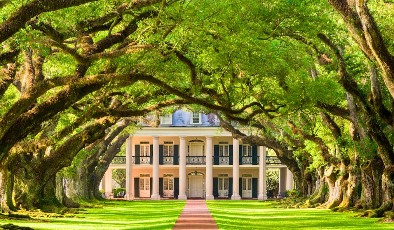 The famous Oak Alley lane enveloped by trees at a plantation near New Orleans, USA